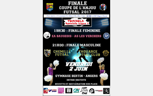 Finale Futsal