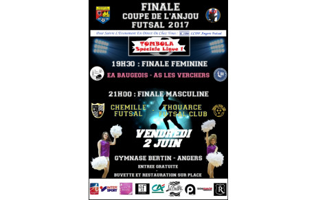 Finale Futsal