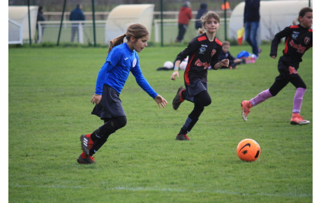 Nouvelles photos en ligne ! 